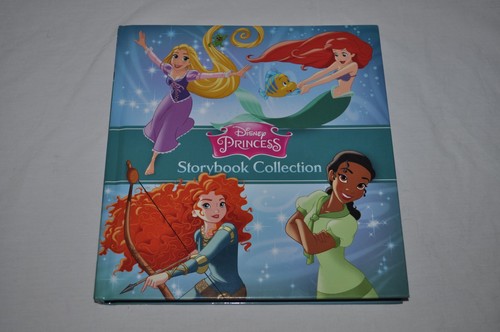 Disney princess storybook - disney,