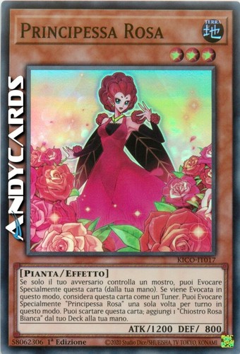 Principessa rosa rose - principessa,